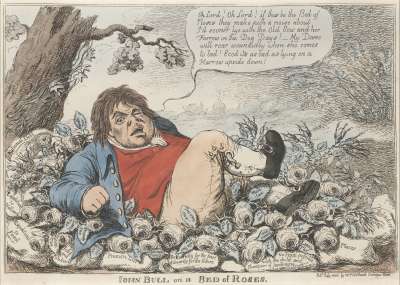 Image of John Bull on a Bed of Roses