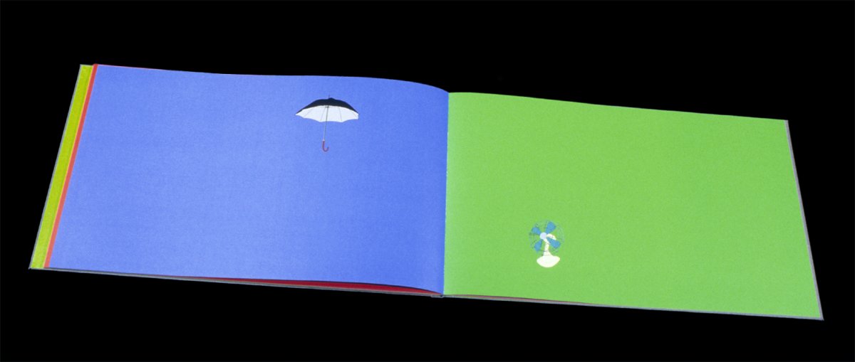 Image of Book (Portfolio edition)