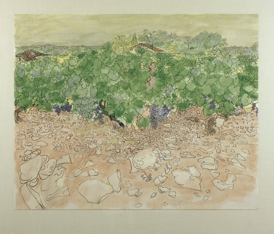 Image of Vineyards