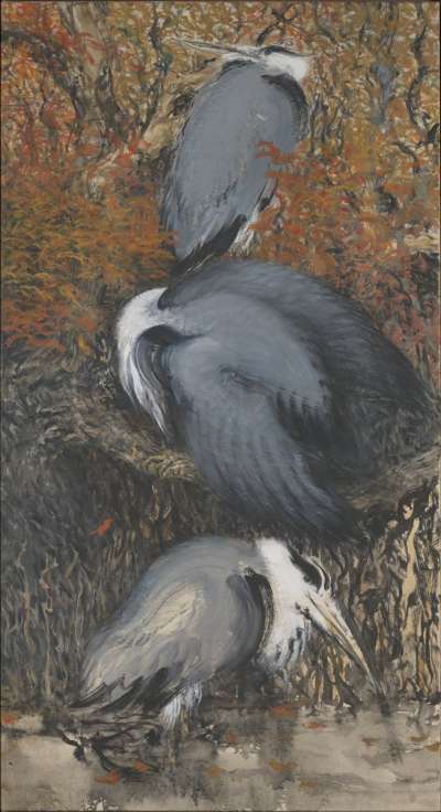 Image of Battersea Park Herons