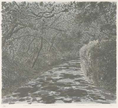 Image of Lower Wessex Lane, Winter