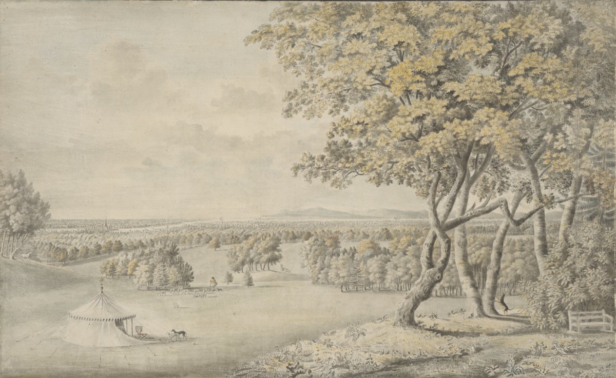 Image of Wooded Landscape with River in the Distance