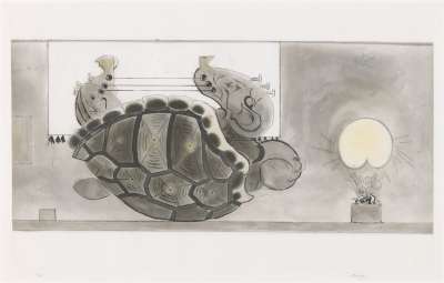 Image of La Tortue [Tortoise]