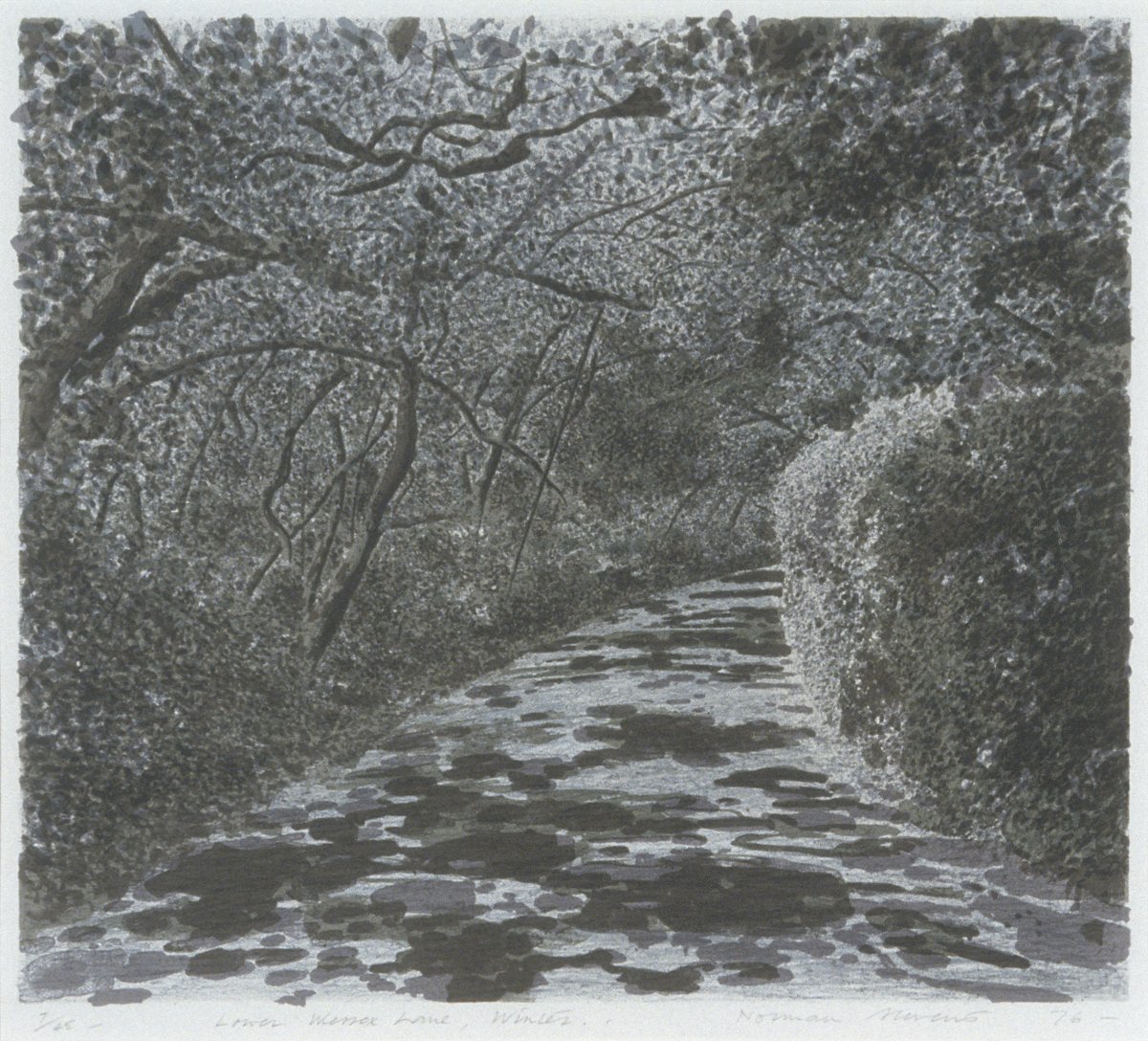 Image of Lower Wessex Lane, Winter