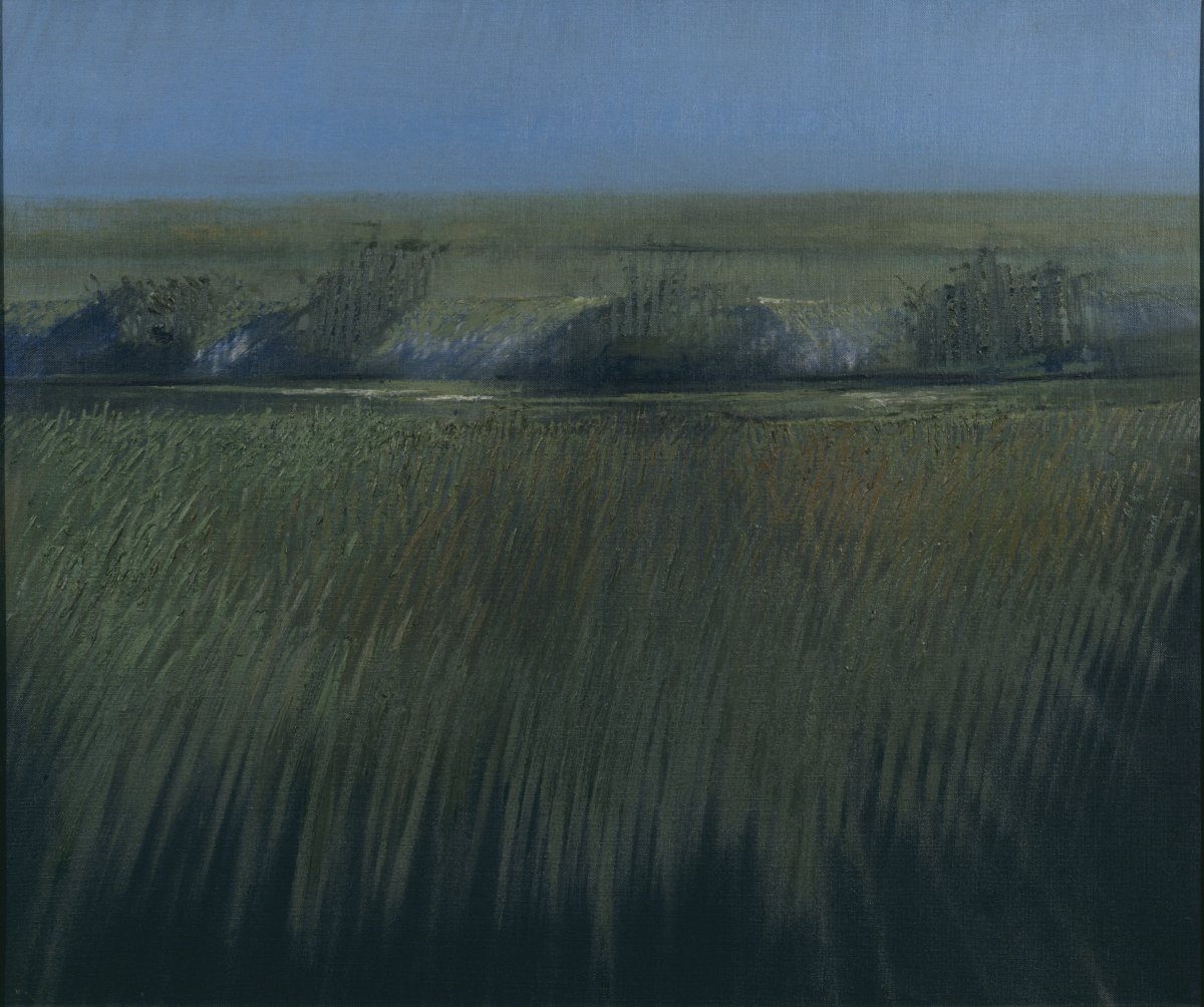 Image of Marsh Landscape