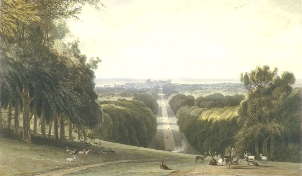 Image of The Long Walk, Windsor Park