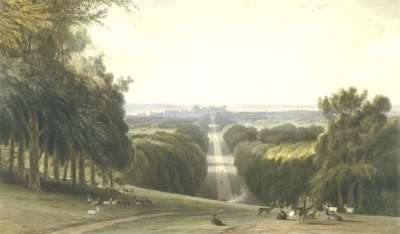 Image of The Long Walk, Windsor Park