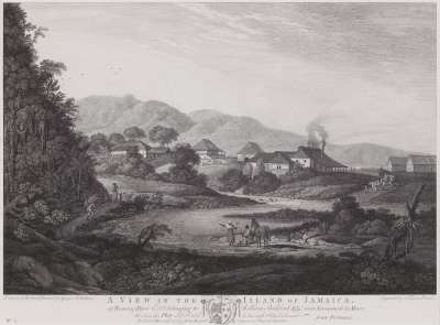 Image of A View in the Island of Jamaica, of Roaring River Estate belonging to William Beckford Esq. near Savannah la Marr [2]