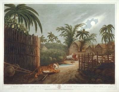 Image of A Tiger Prowling through a Village / Un Tigre Traversant un Village in Hurlant Quete