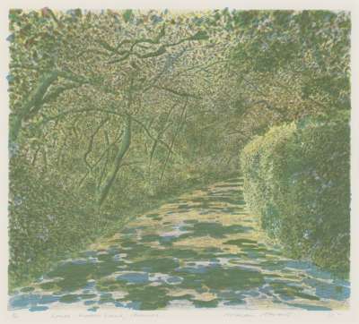 Image of Lower Wessex Lane, Summer