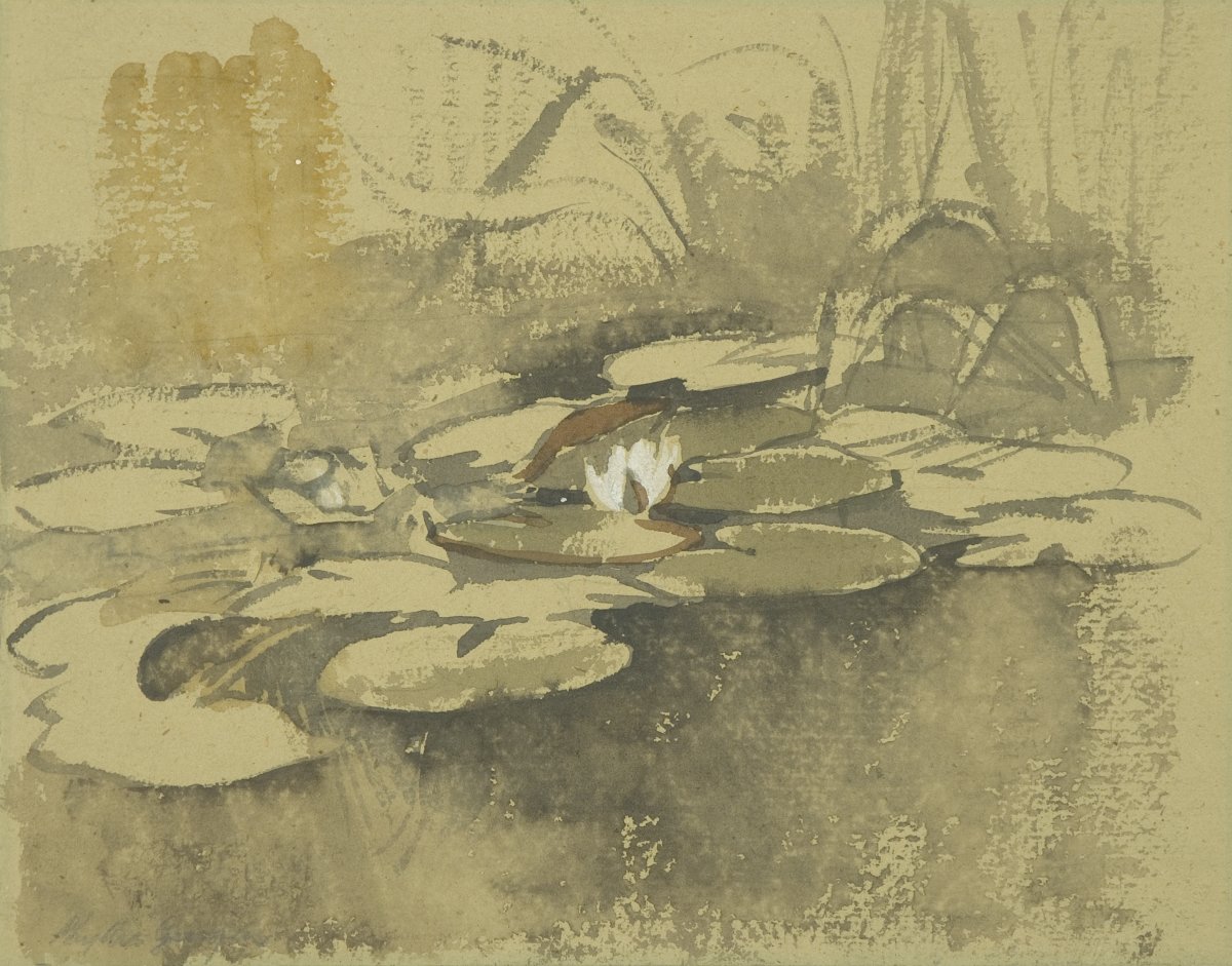 Image of Water Lilies, Kew Gardens