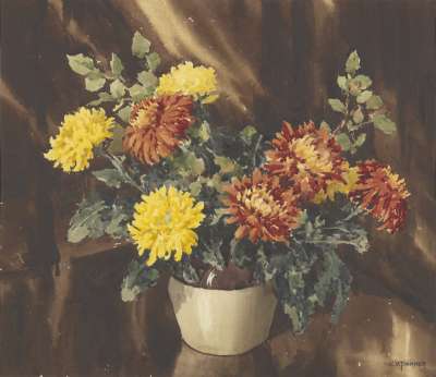 Image of Chrysanthemums