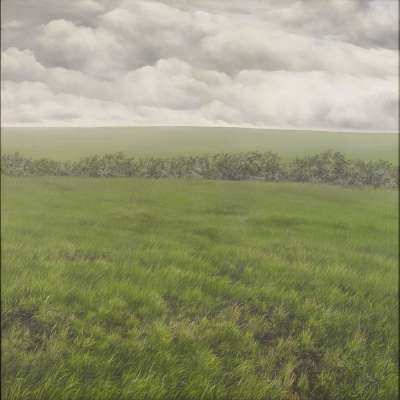 Image of Open Land