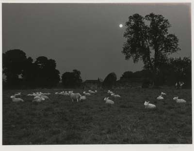 Image of Ridgeway: Avebury, Moonlight