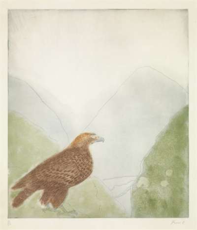 Image of Golden Eagle