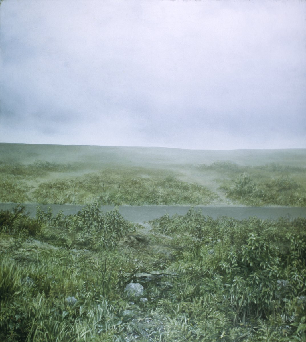 Image of Untitled (Moorland with Road)