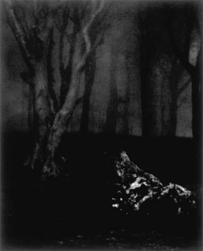 Image of Untitled (Forest, Fog & Stone)