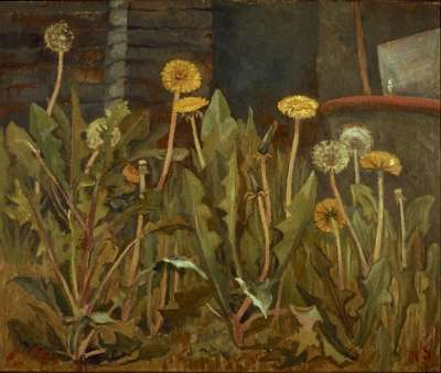 Image of Dandelions