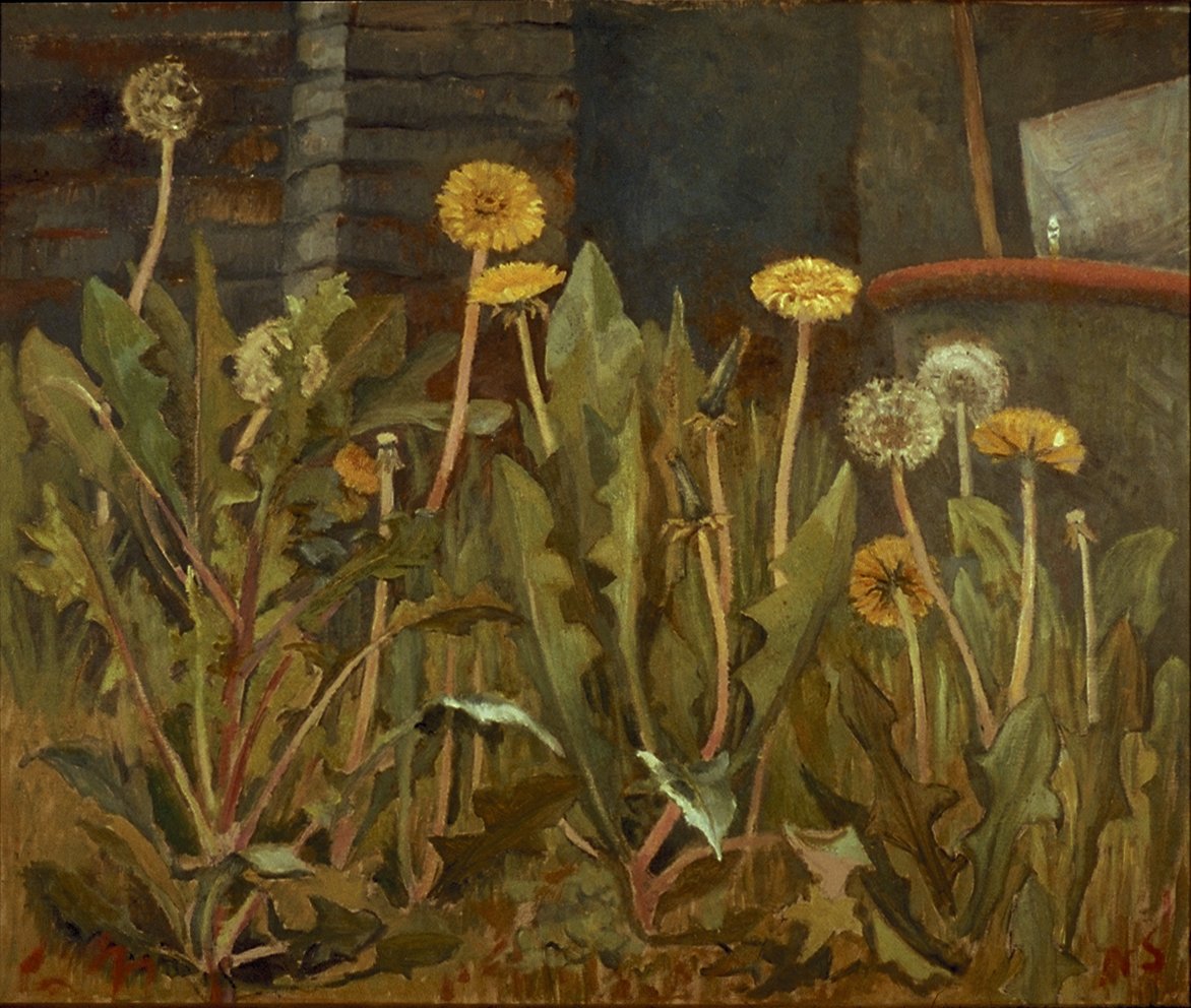 Image of Dandelions