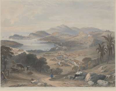 Image of View of the Town and Harbour, St. George’s, Grenada, West Indies