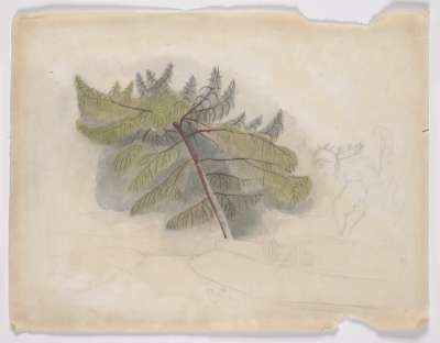 Image of Tree Study and Street Scene with Chicken