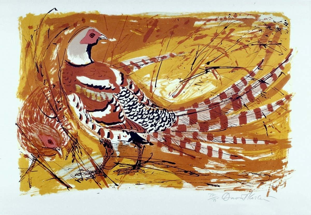 Image of Elliott’s Pheasants