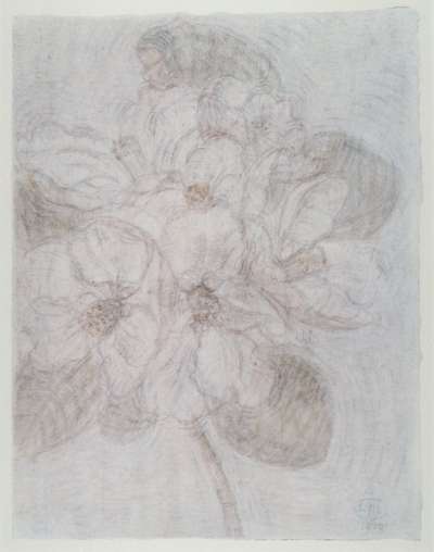 Image of Apple Blossom I