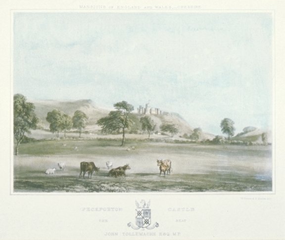 Image of Peckforton Castle, the Seat of John Tollemache Esq, MP