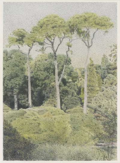 Image of We Three Trees across the Lake (at Sheffield Park Gardens)