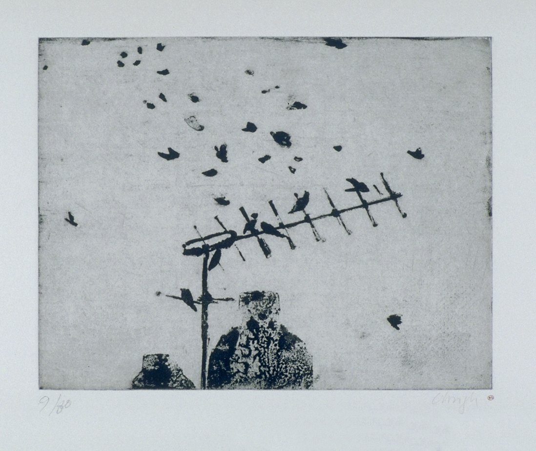 Image of Starlings [Sturnus Vulgaris]