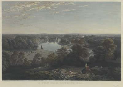 Image of A View from Richmond Hill