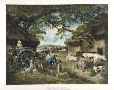 Image of The Dairy Farm