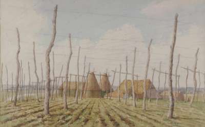 Image of Hop Garden, Potkilns Farm, Kent