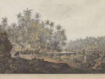 Image of View near Point de Galle, Ceylon