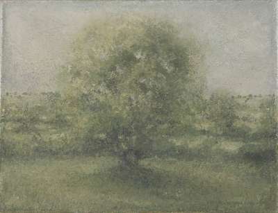 Image of Summer Landscape