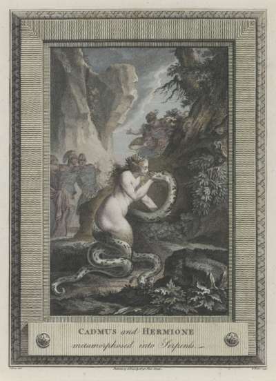 Image of Cadmus and Hermione Metamorphosed into Serpents