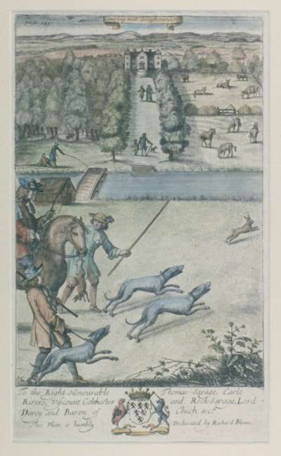 Image of Coursing with Grayhounds