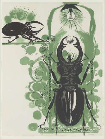 Image of Beetles II (with Electric Lamp)