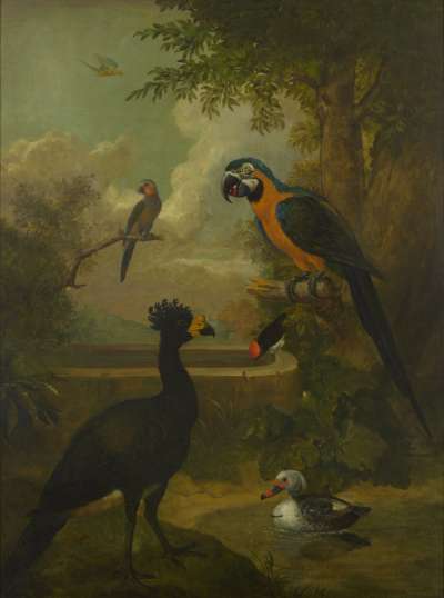 Image of Macaw & Other Birds in a Landscape