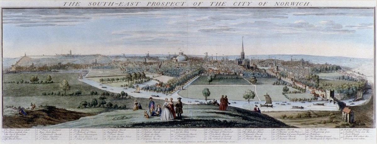 Image of The South-East Prospect of the City of Norwich