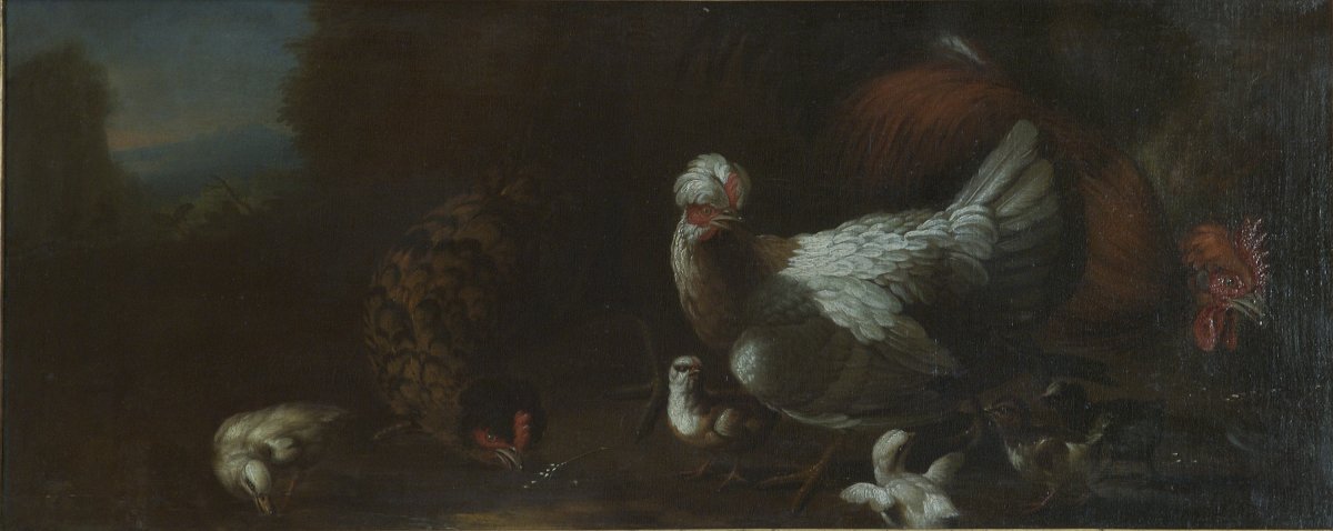 Image of Farmyard Birds in a Landscape