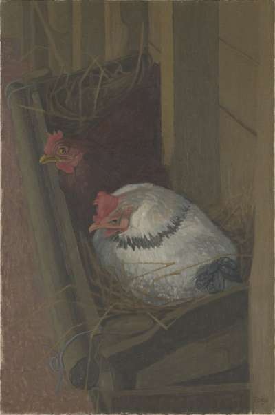 Image of Broody Hens