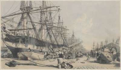 Image of West India Docks from the South-East