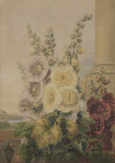 Image of Hollyhocks