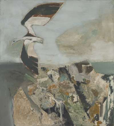 Image of Gull in Landscape