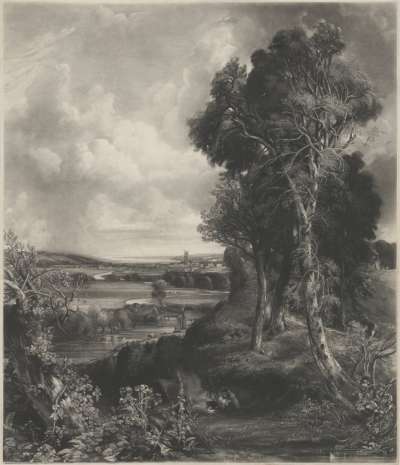 Image of Dedham Vale