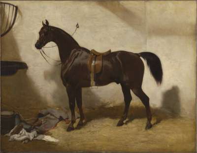 Image of Lord Canning’s Hunter (Saddled and Tethered)