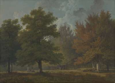 Image of Landscape: Woodland Scene