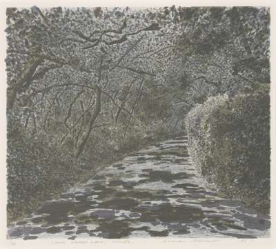 Image of Lower Wessex Lane, Winter