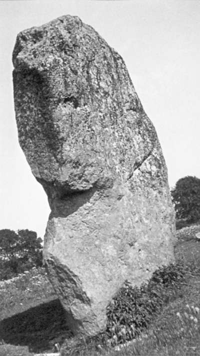 Image of Avebury Sentinel